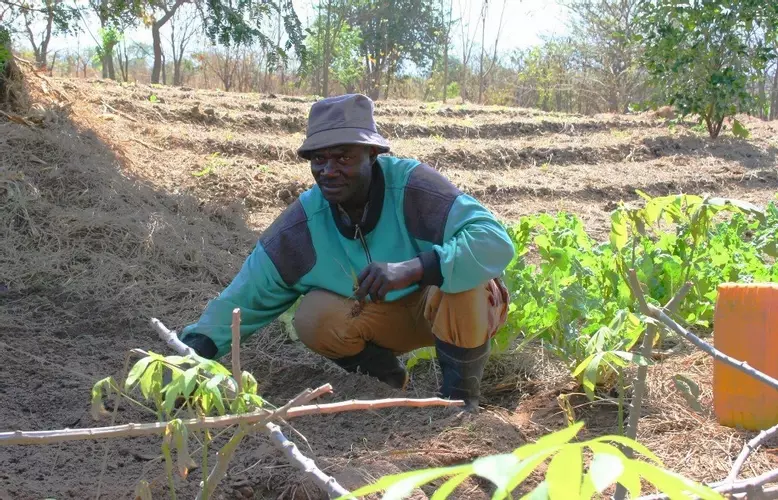 Evangelist Manungu in the shamba